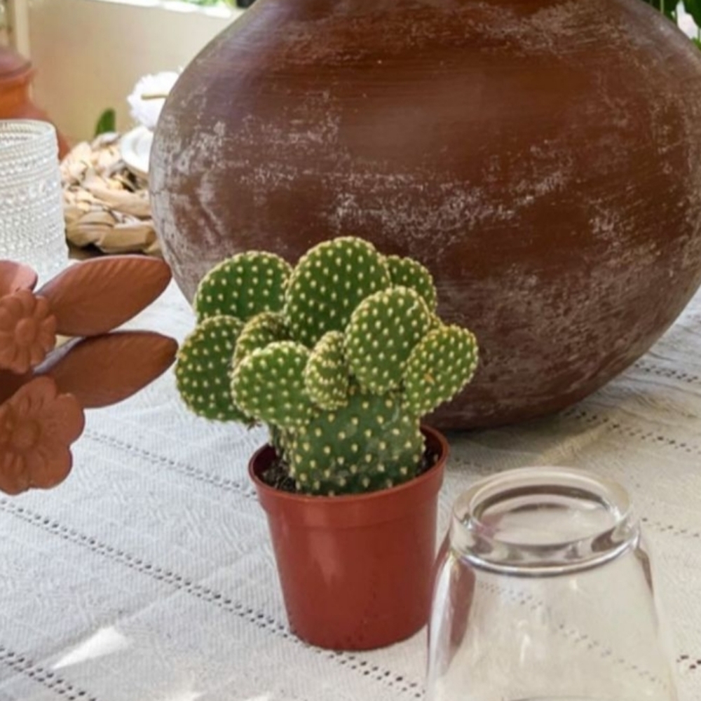 Meet your Posher, Adriana